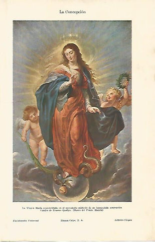 LAMINA ESPASA 4082: La Concepcion de Quellyn