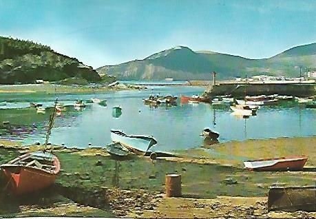POSTAL 55936: PLENCIA. Puerto de pescadores
