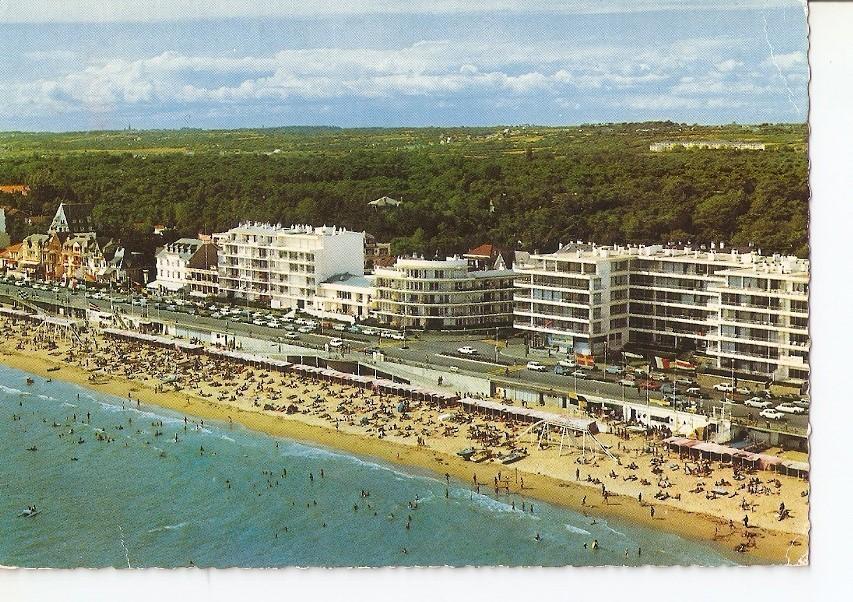 Postal 039454 : La Baule (Loire Atlantique)- les Pins-Boulevard de lOcean