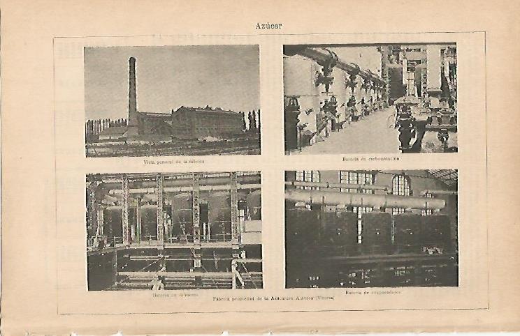 LAMINA ESPASA 7194: Fabrica de azucar