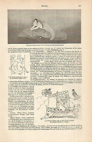 LAMINA ESPASA 2628: Representaciones de sirena