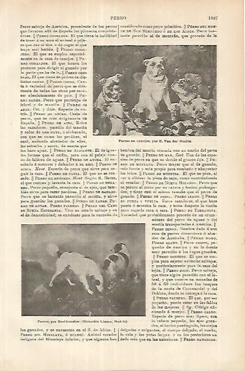 LAMINA ESPASA 18030: Perros en reunion por Van der Meulen