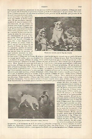 LAMINA ESPASA 18030: Perros en reunion por Van der Meulen