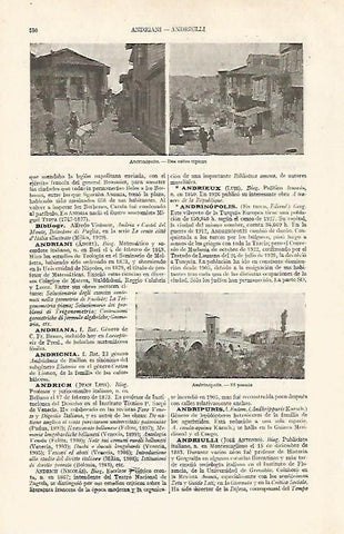 LAMINA ESPASA 19055: Calles de Andrinopolis Turquia