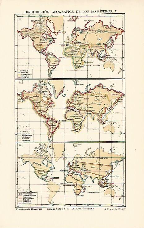 LAMINA ESPASA 1667: Mapa mundial de la distribucion de mamiferos