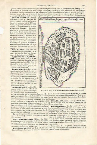 LAMINA ESPASA 20727: Plano de la isla de Quiloa