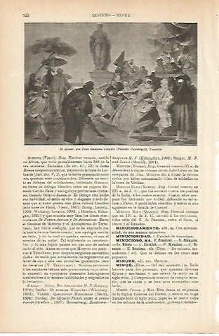 LAMINA ESPASA 5222: El minue por Tiepolo