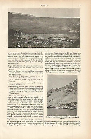 LAMINA ESPASA 11451: Vistas del Mar Muerto