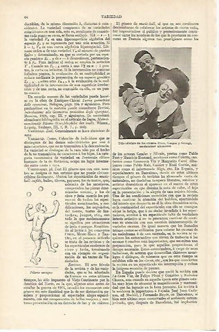 LAMINA ESPASA 5891: Clowns Price Guigui y Georgi