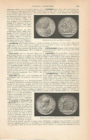 LAMINA ESPASA 9049: Medalla de Carlos IX