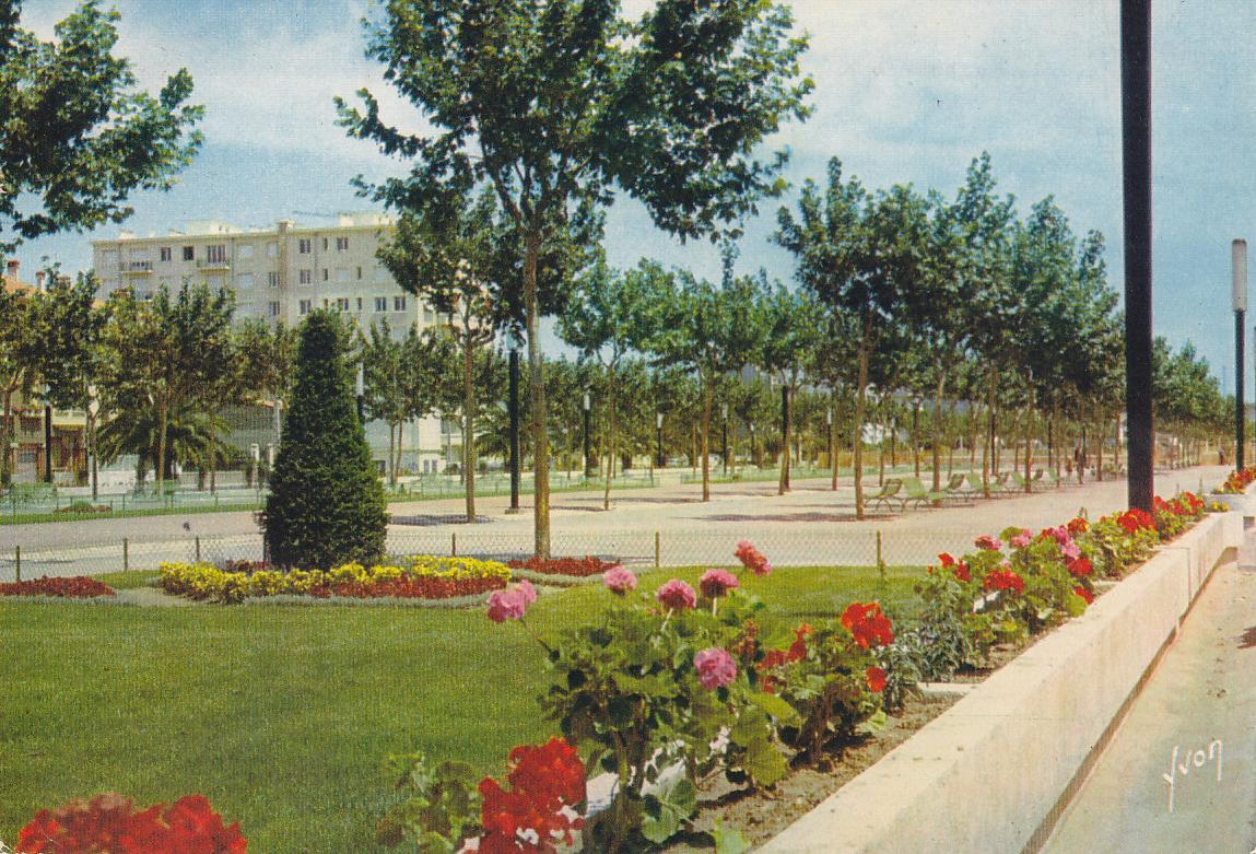Postal 62076 : Couleurs et Lumiere de France. Perpignan