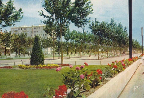 Postal 62076 : Couleurs et Lumiere de France. Perpignan