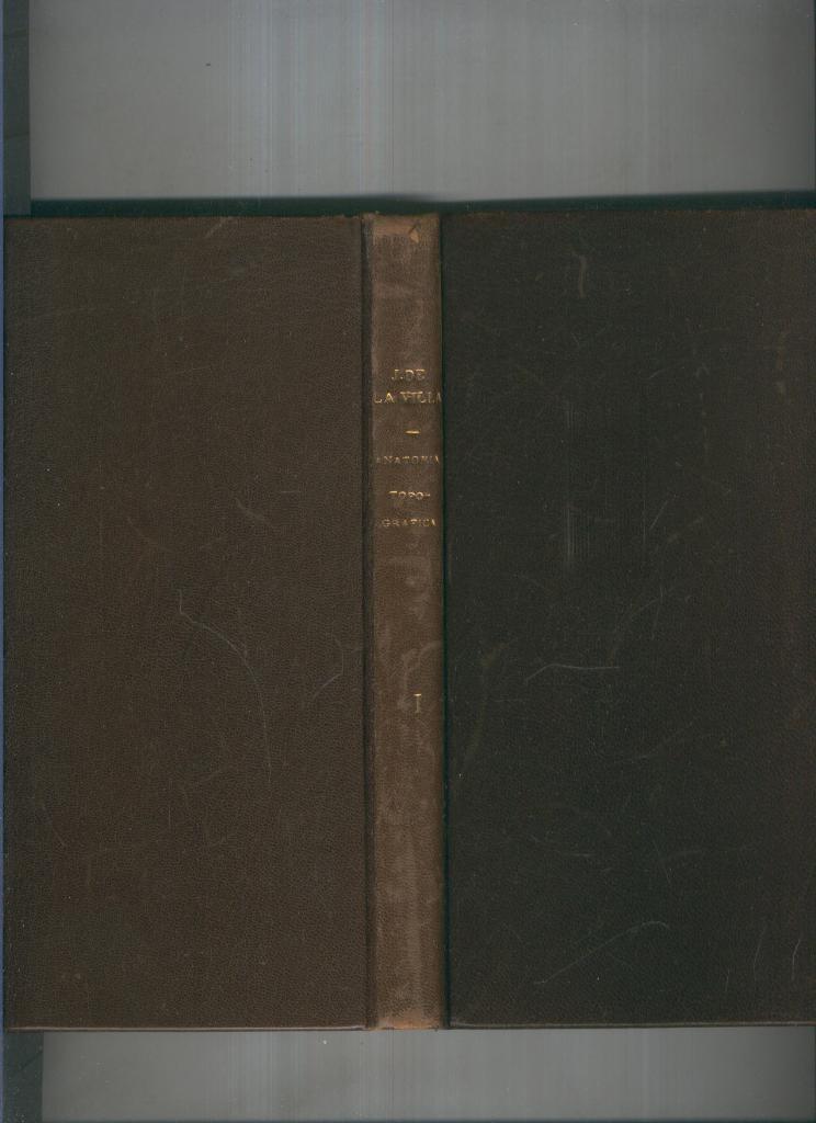 Anatomia Topografica Volumen I