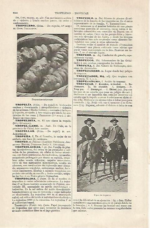LAMINA ESPASA 20511: Tipos de troperos
