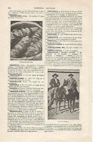 LAMINA ESPASA 20511: Tipos de troperos