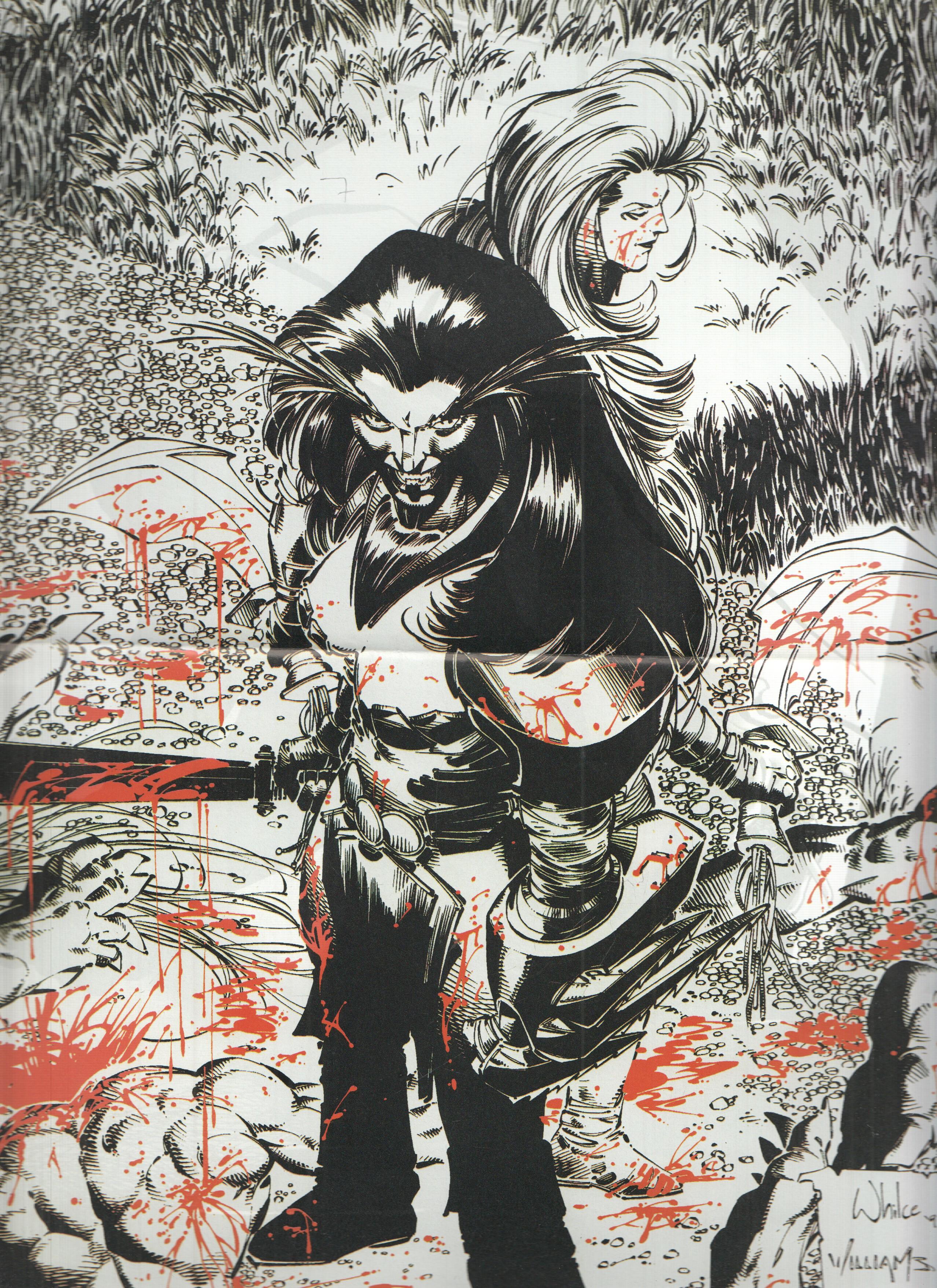 Poster: WILDSTORM Poster: Numero 13 y 14 (World Comics 1996)