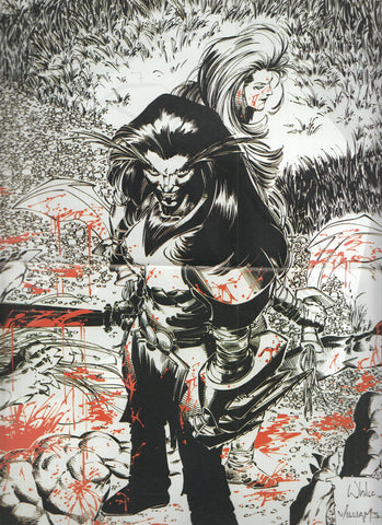 Poster: WILDSTORM Poster: Numero 13 y 14 (World Comics 1996)