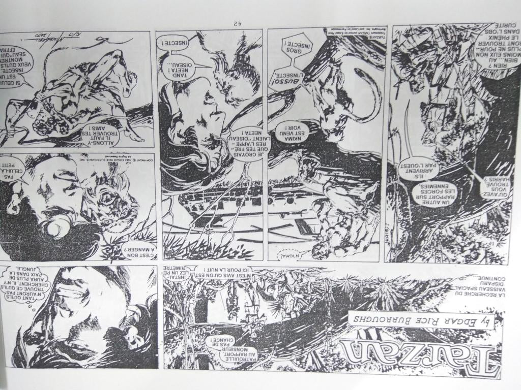 TARZAN, Pages Du Dimanche (MIKE GRELL), Pages Du Dimanche: 03-01-1982 al 27-02-1983.