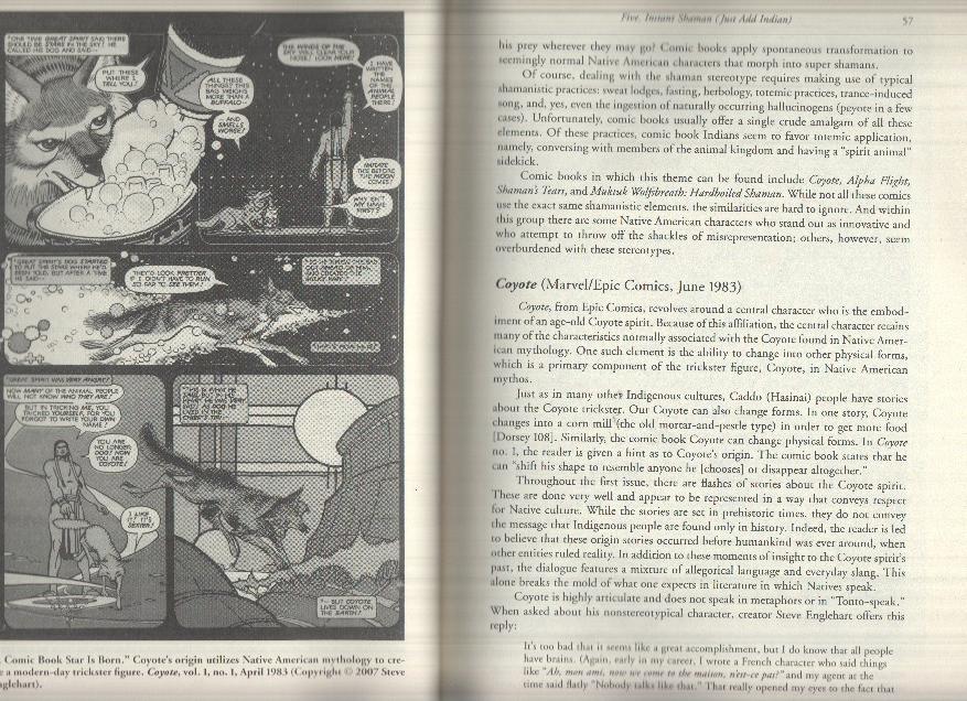 NATIVE AMERICANS IN COMIC BOOKS: A Critical Study - Michael A. Sheyahshe (Mc Farland 2008)