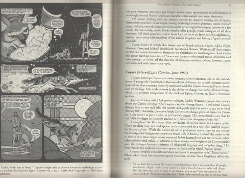 NATIVE AMERICANS IN COMIC BOOKS: A Critical Study - Michael A. Sheyahshe (Mc Farland 2008)