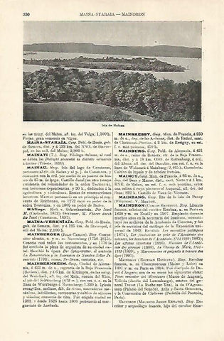 LAMINA ESPASA 18533: Isla de Mainau