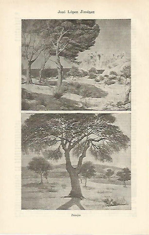 LAMINA ESPASA 19814: Paisajes por Jose Lopez Jimenez