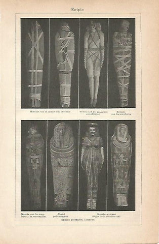 LAMINA ESPASA 6802: Momias del antiguo Egipto