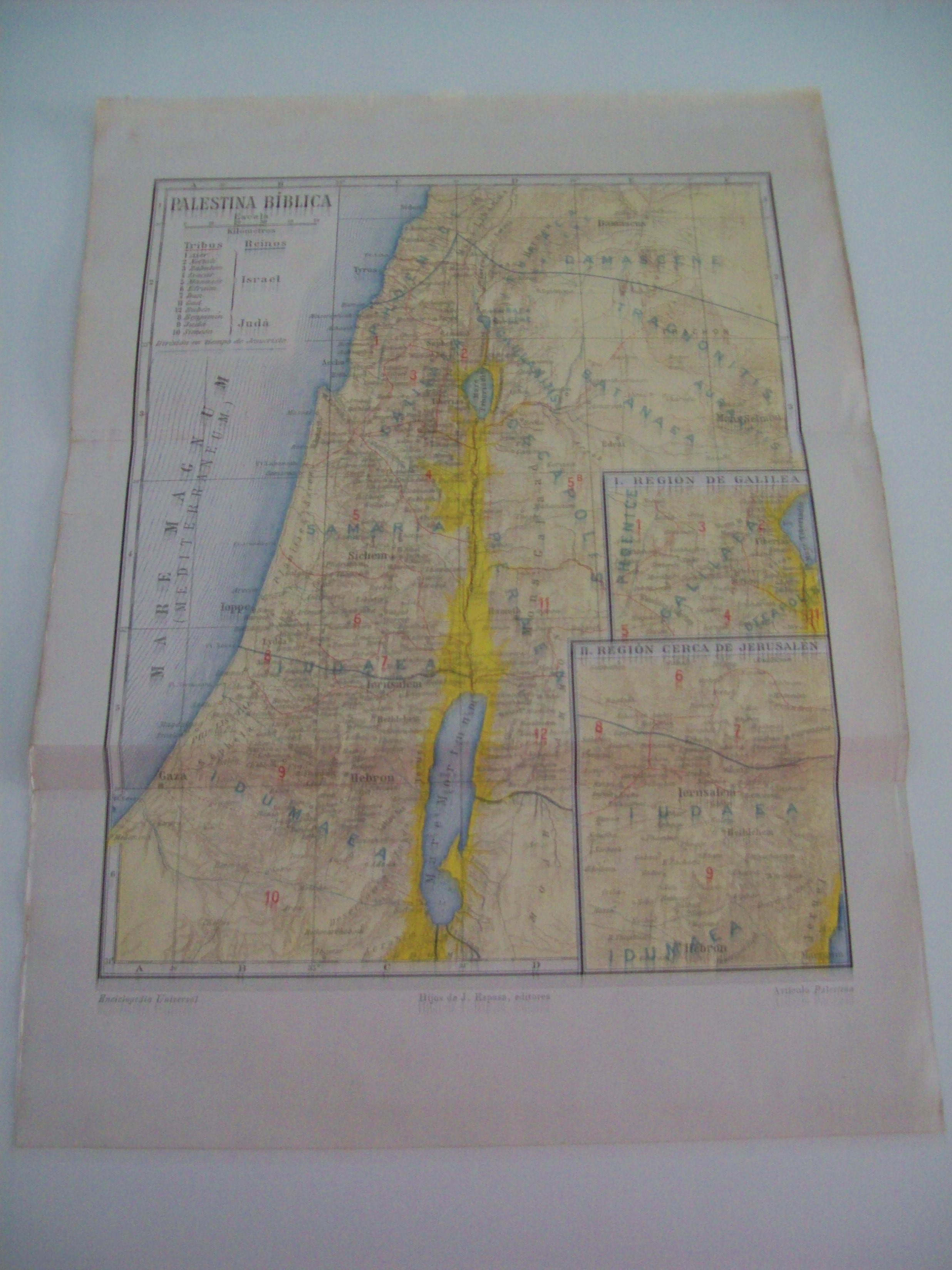 LAMINA ESPASA 1536: Mapa de la Palestina Biblica