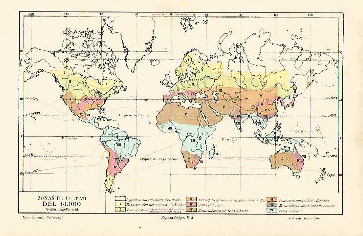 LAMINA ESPASA 15405: Zonas de cultivo del mundo