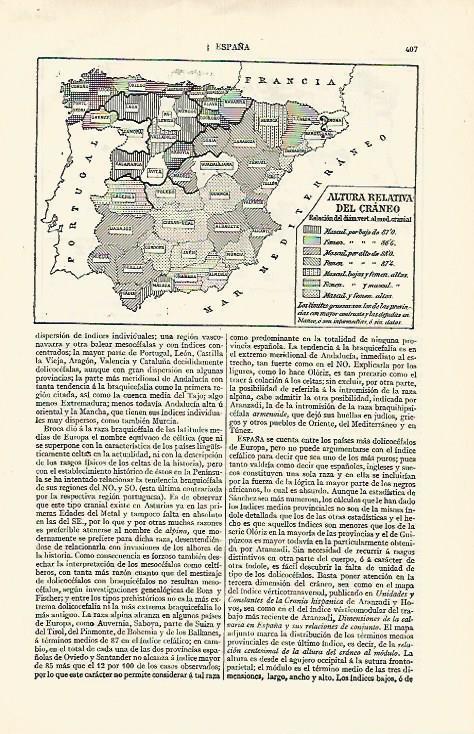 LAMINA ESPASA 15640: Altura relativa del craneo en España