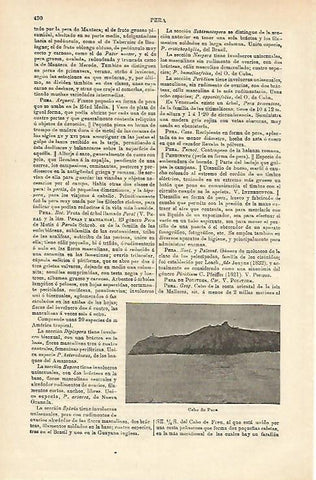 LAMINA ESPASA 15715: Cabo de Pera Mallorca