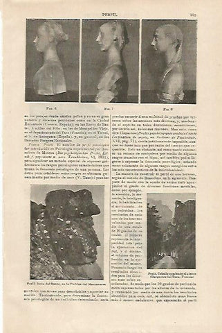 LAMINA ESPASA 15740: Esculturas de perfil