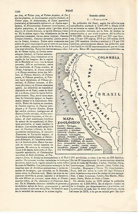 LAMINA ESPASA 15814: Mapa zoologico de Peru