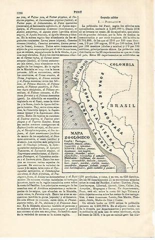 LAMINA ESPASA 15814: Mapa zoologico de Peru