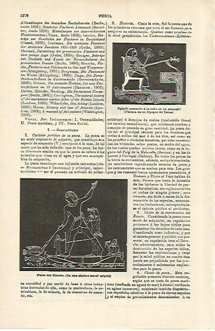 LAMINA ESPASA 15856: Egipcios pescando