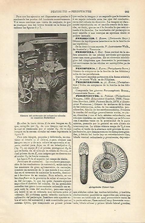 LAMINA ESPASA 15763: Submarino Deutschland