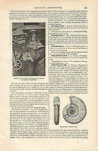 LAMINA ESPASA 15763: Submarino Deutschland