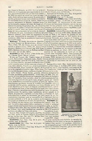 LAMINA ESPASA 15916: Monumento a Robert Raikes en Londres