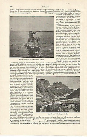 LAMINA ESPASA 15576: Puesto de caza en la Albufera de Valencia