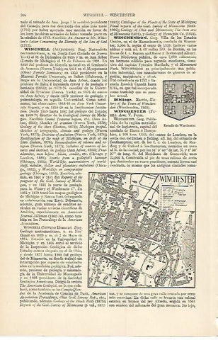 LAMINA ESPASA 1561: Plano de Winchester Inglaterra