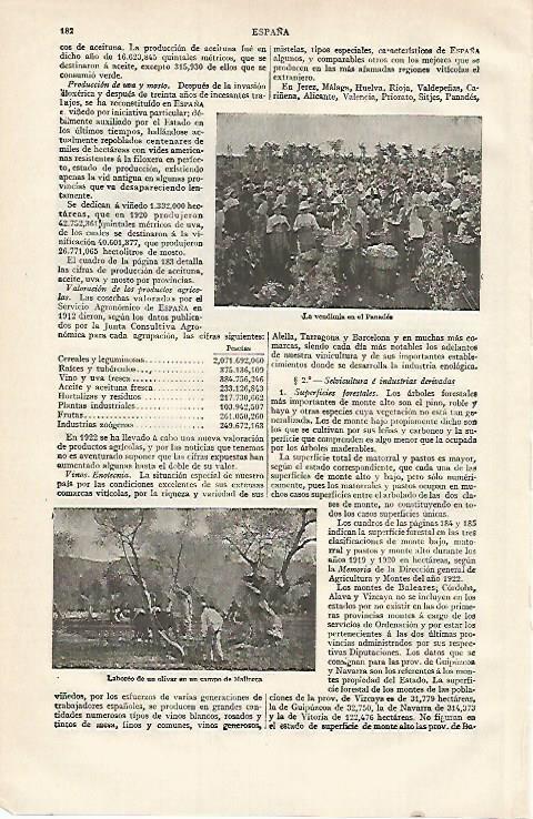 LAMINA ESPASA 15568: Vendimia en el Penedes
