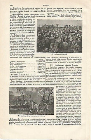 LAMINA ESPASA 15568: Vendimia en el Penedes