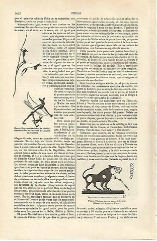 LAMINA ESPASA 15779: Representaciones de perro