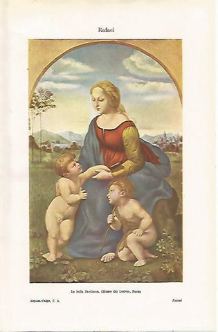 LAMINA ESPASA 15892: La bella Jardinera de Rafael