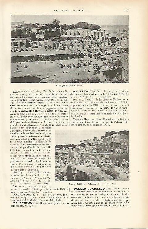 LAMINA ESPASA 1507: Vista general del Palatino Roma