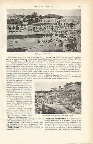 LAMINA ESPASA 1507: Vista general del Palatino Roma