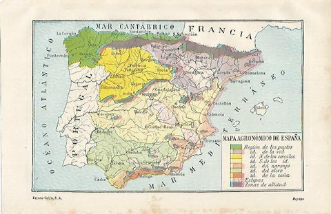 LAMINA ESPASA 15564: Mapa agronomico de España