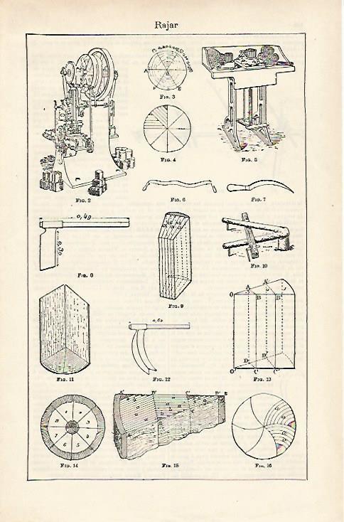 LAMINA ESPASA 15921: Rajar