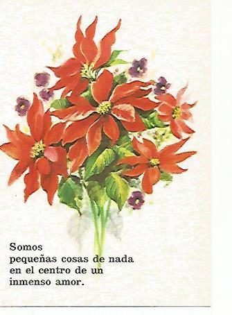 POSTAL A0245: Postal de felicitacion