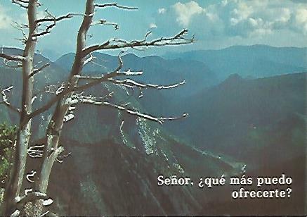 POSTAL A0250: Cita religiosa